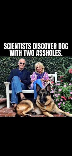 b353144a-4c83-4f2d-b236-f866d42b11ff