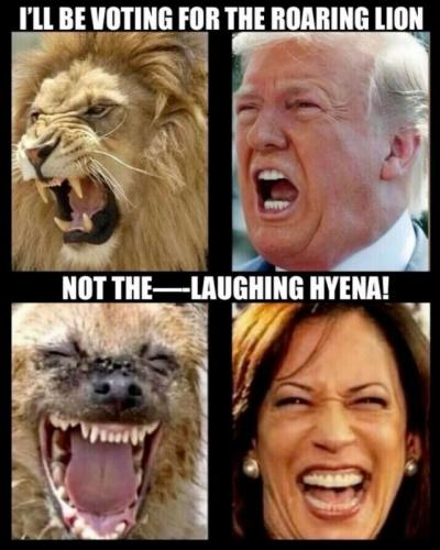 Tumblr_l_16732455527782