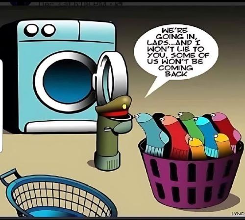 450970284_122212882082010460_1458865630585513252_n