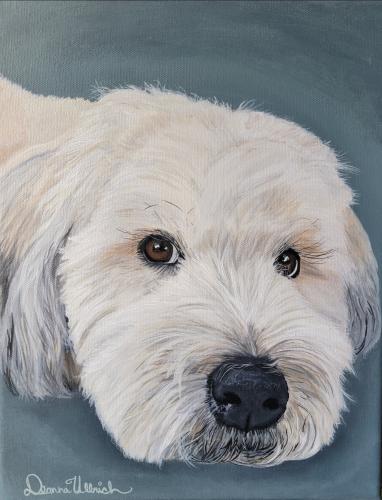 Screenshot_20230818_073813