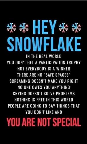 hey snowflake