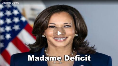 Madame Deficit screenshot