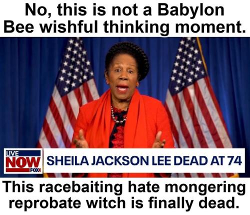 Ding Dong the witch is dead Sheila Jackson Lee.960px