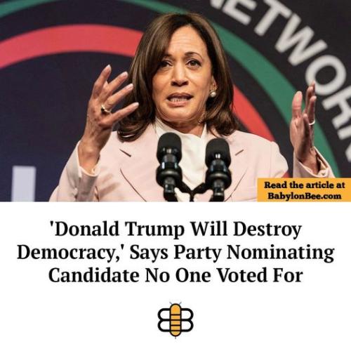 no one voted for