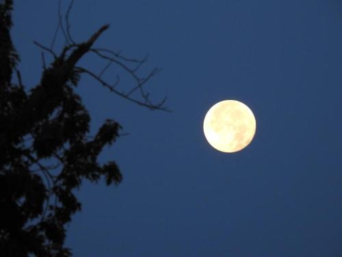 224fc162-a09b-449b-92ea-57516f7d887c