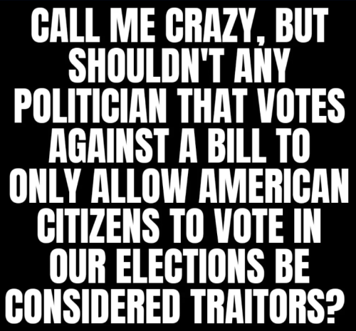 image_2024-07-12_110238255