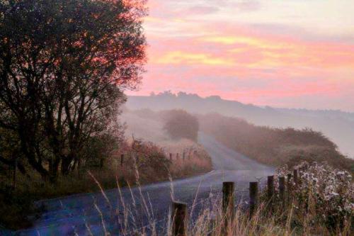 received_1503973103236097~2