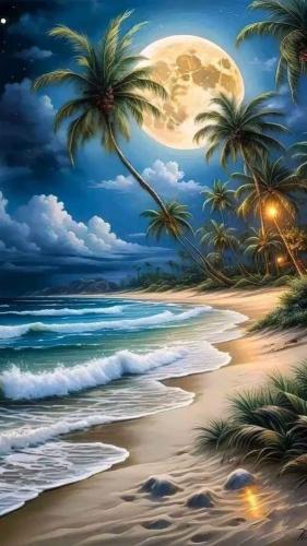 Tropical beach dusk