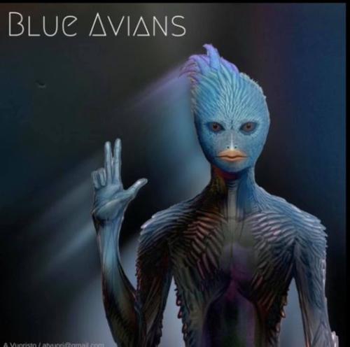 ,                              ,    ,