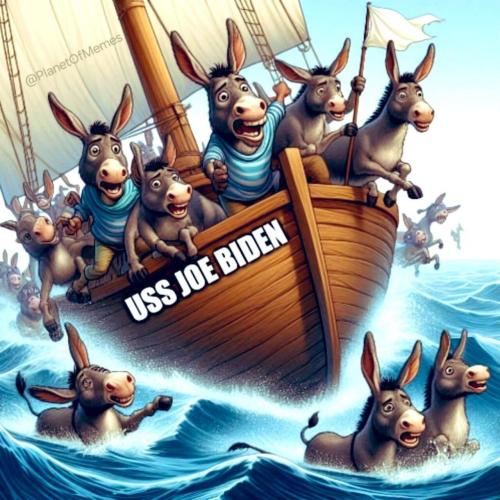 image_141D358C-0DEA-47D9-9C92-5EA9FAA3D57B