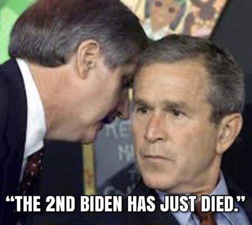 photo_2024-07-23_20-29-52