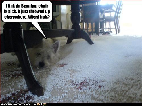 i-fink-da-beanbag-chair-is-sick-it-just-throwed-up-eberywhere-wierd-huh