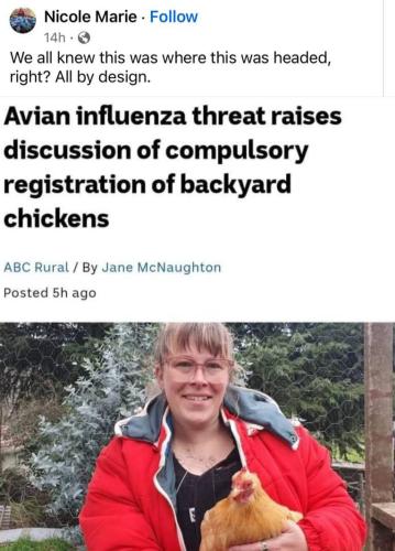 photo_2024-07-23_20-36-07