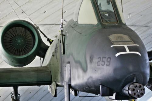 PicsArt_01-15-07.07.12