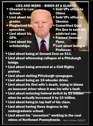 BIDEN LIAR 787876787
