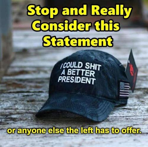 I could shit a better president than Biden