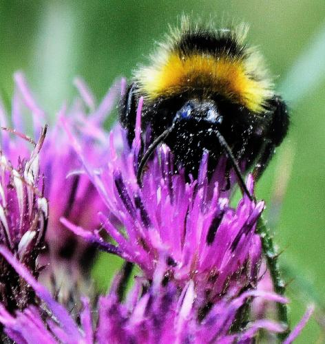 IMG_20151119_213631-01~2