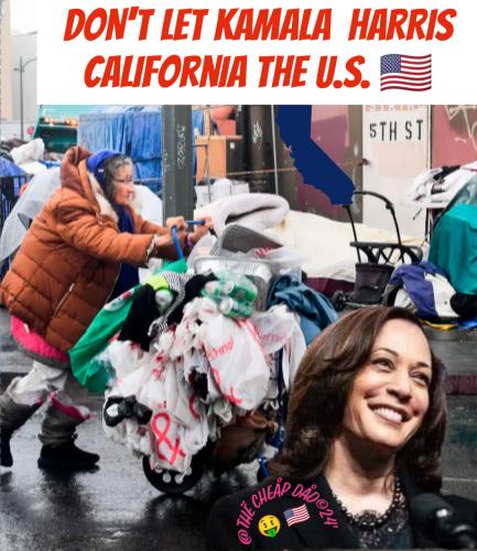 KAMI CALIFORNIA BANKRUPT