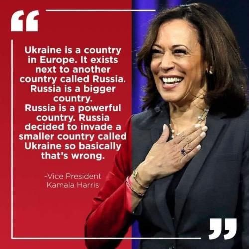 919cf2b5-2107-4366-a1d4-ccf311d59e8b