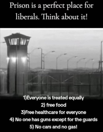 image_2024-07-05_104838758