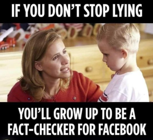 Fact checker