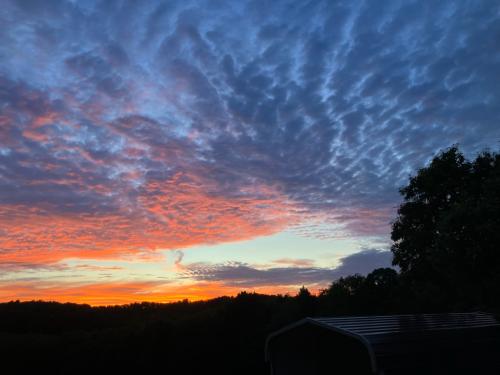 6E25ADCA-1E68-405C-84C5-E604786915C5