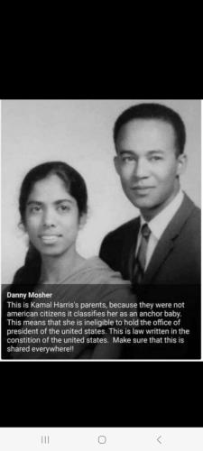 Screenshot_20240704_134036_Wimkin Free Speech Social Media