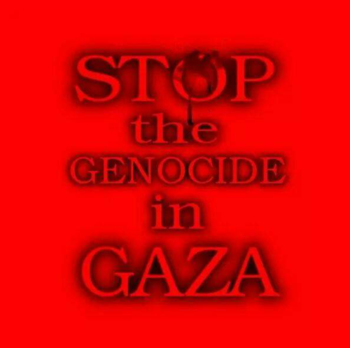 Screenshot_2024-07-18-11-11-01_kindlephoto-48230216