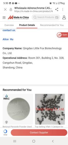 Screenshot_20240702-173013_Samsung Internet