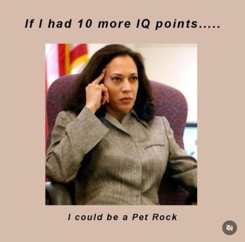 20:17:55 GMT-0500 (CDT)