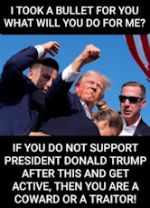 assassination attempt05