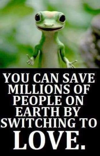 FB_IMG_1720453699482