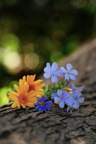 IMG_20240719_084517_550