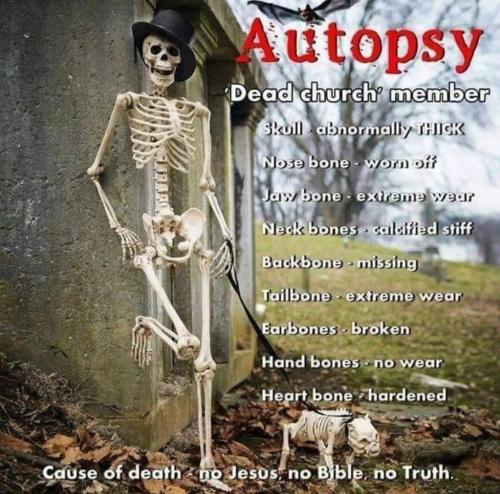 c0e5bef6-93d1-4dbf-ba74-35bc8f12d9ae