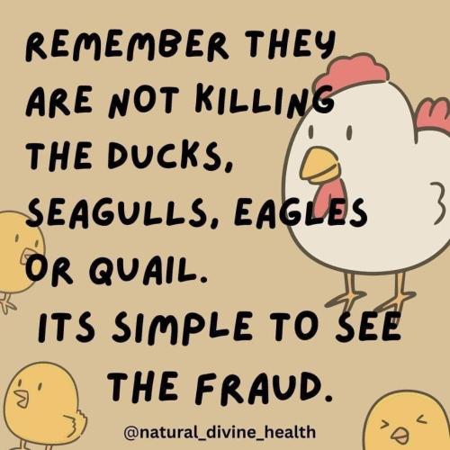 IMG_20240717_104448_824