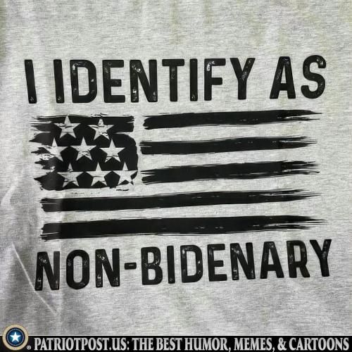 Non-Bidenary