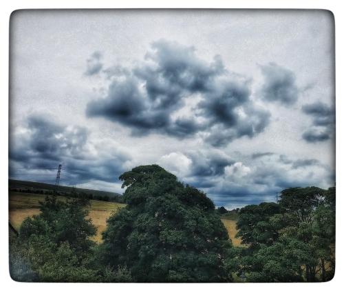 IMG_20240715_143014290 (1)