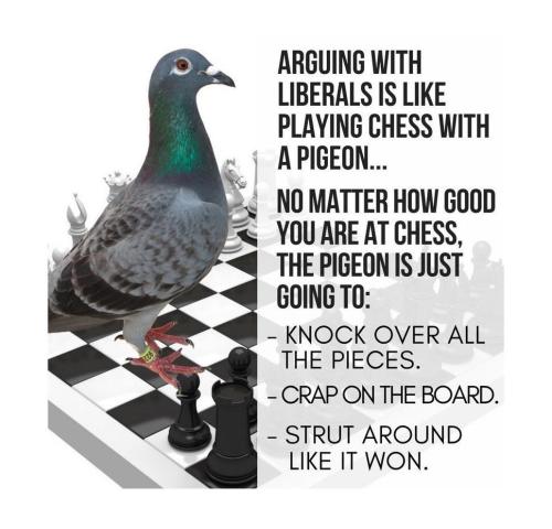 IMG_20240701_213206_666