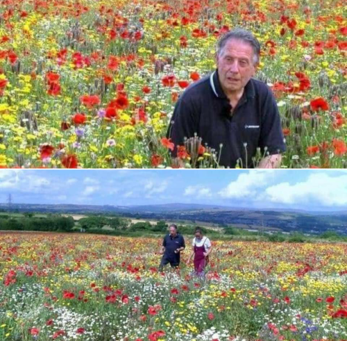 Screenshot_2024-07-18-00-59-51_kindlephoto-51159743