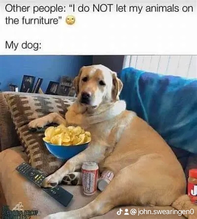 275389f001e7e8e29026024160d80ef7_0