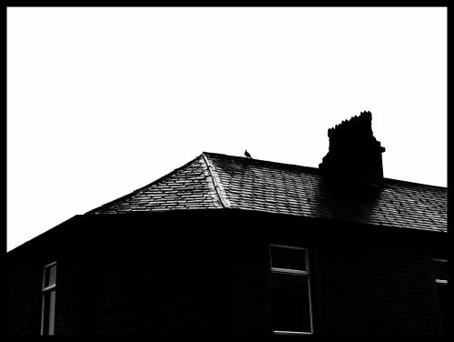 IMG_20240715_185952680