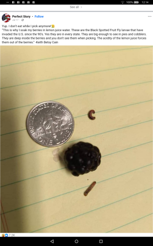 Screenshot_2024-07-25-00-14-23