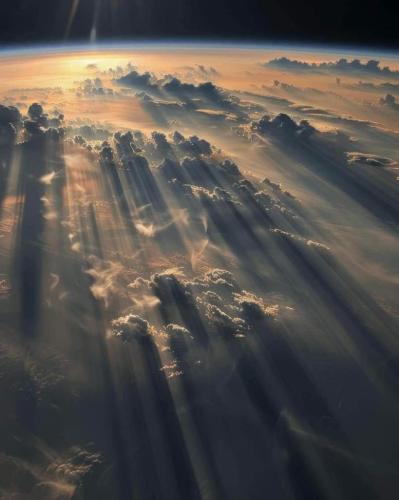 37c6d630-aac6-42f0-88fc-72e438a56c31