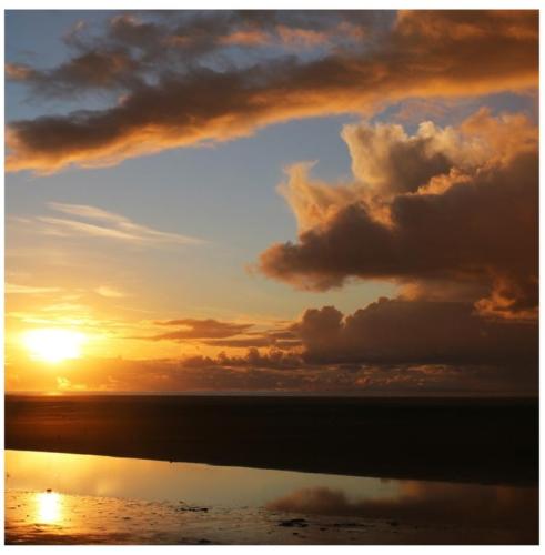 e1c124cb-72d9-4a59-b654-dd54c288fc58