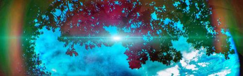 Picsart_24-05-29_21-01-51-171~2