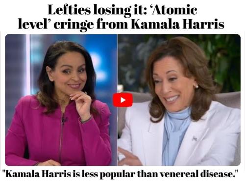 Lefties losing it Atomic level cringe from Kamala Harris