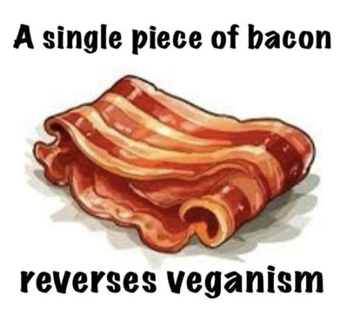 450603347_122164351850203038_8086662041836696006_n