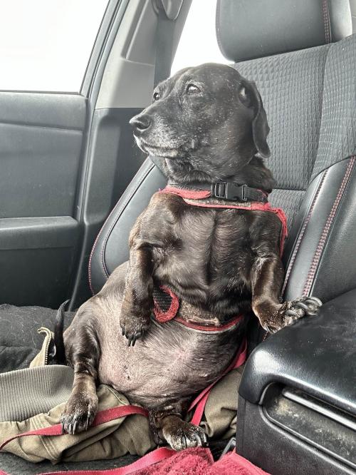 1711637932462_20240707_012721