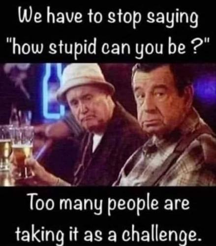 453069558_1218669972467948_8497496627308547341_n