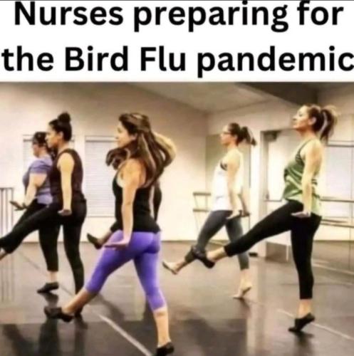 image_E850A66E-2E41-4291-A228-D2940BF1A7A5